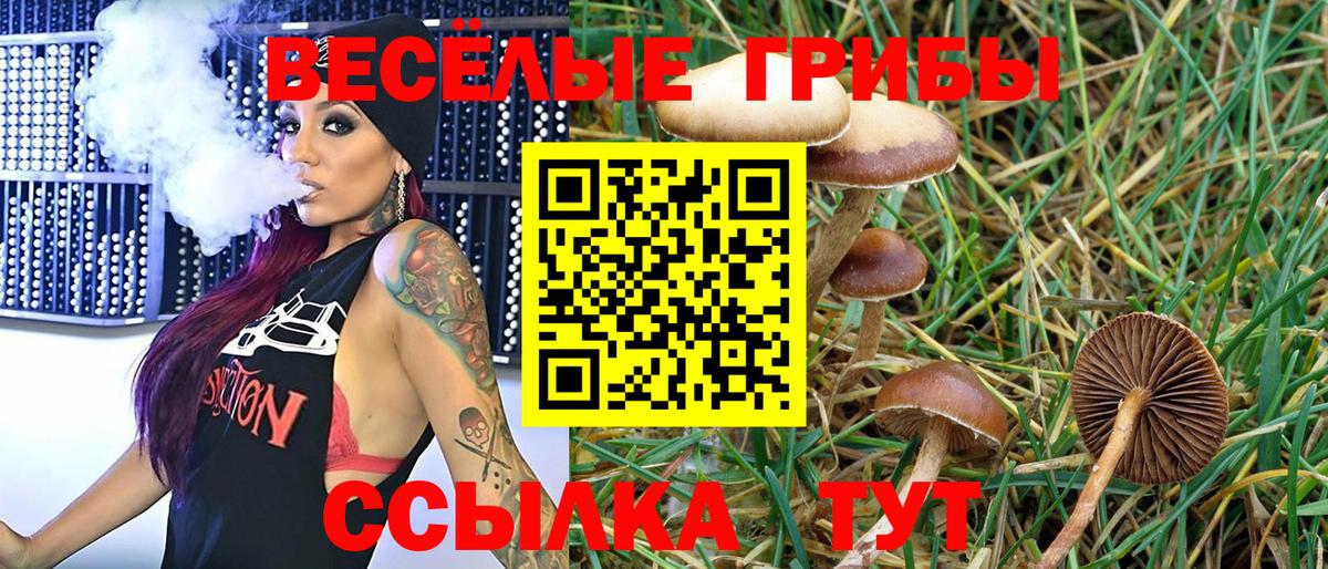 Галлюциногенные грибы Magic Shrooms  Галлюциногенные грибы мицелий  Салехард  где купить наркоту  Вход с VPN 